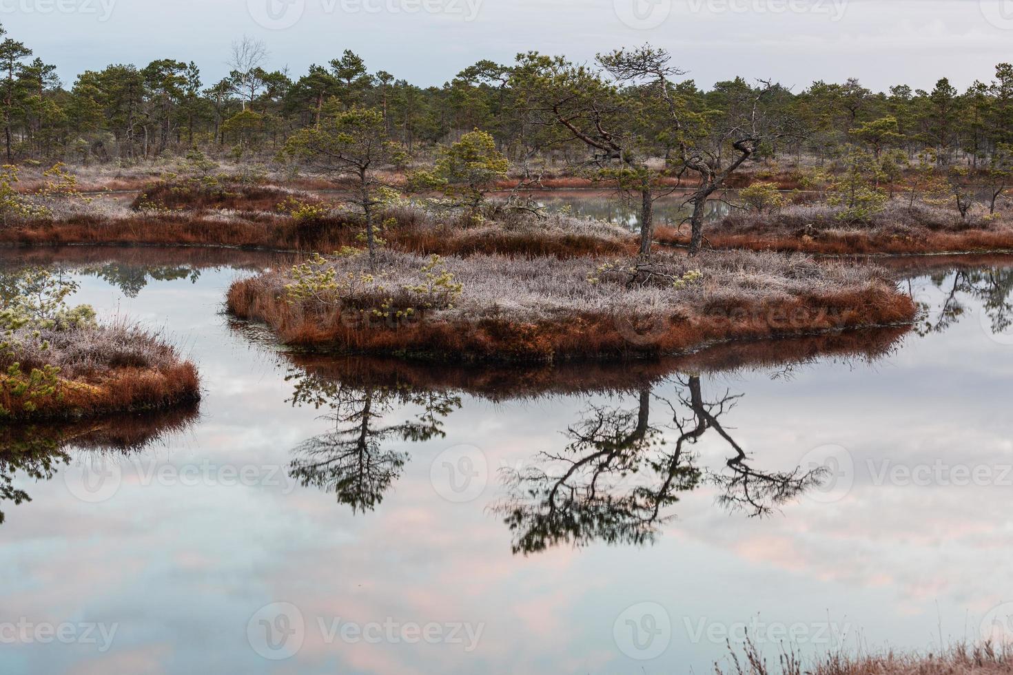 Spring in the swamp lakes photo