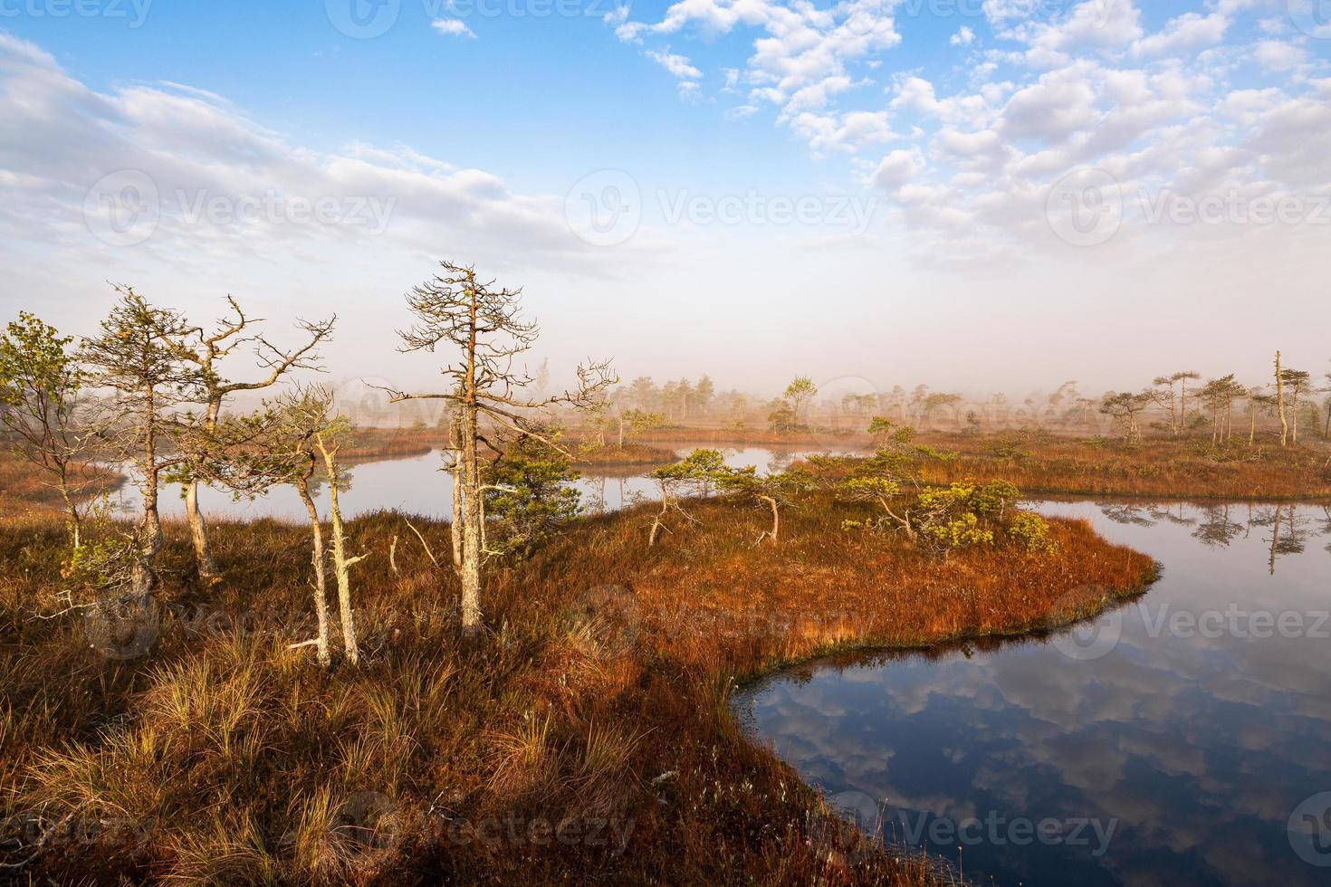 Spring in the swamp lakes photo
