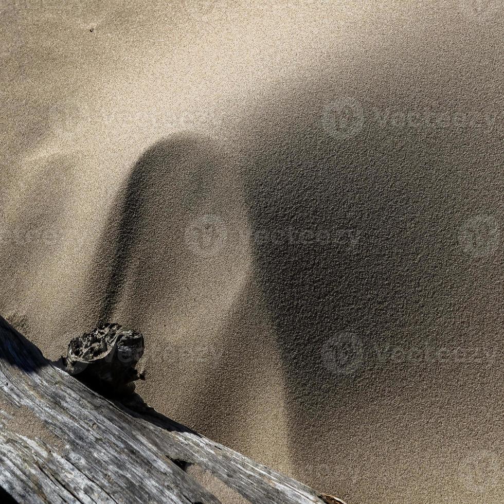 Patterns in The Beach Sand photo