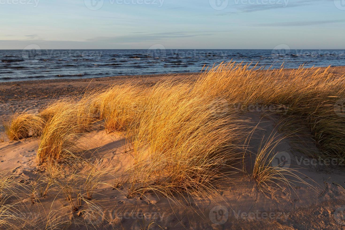 Baltic Sea Coast With Pebbles And Ice at Sunset photo