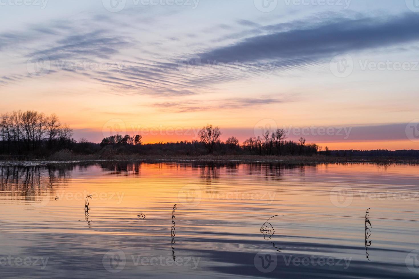 Flooded Meadows in Spring photo