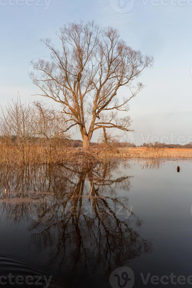 Flooded Meadows in Spring photo