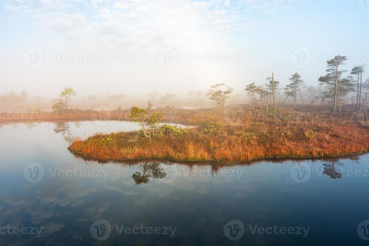 Spring in the swamp lakes photo