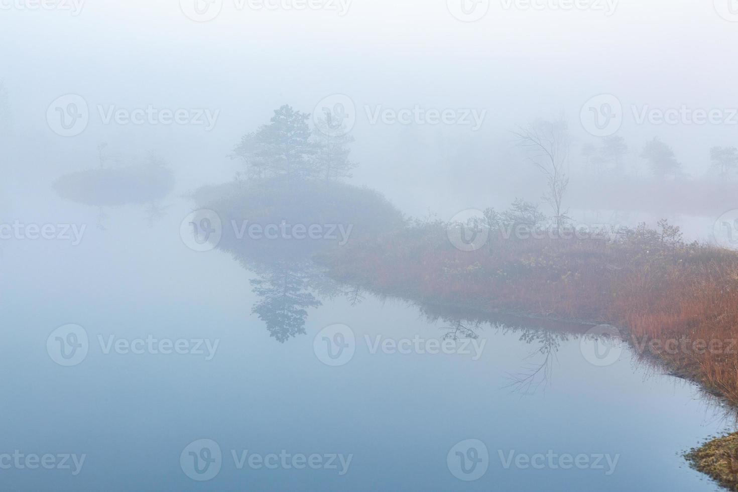 Spring in the swamp lakes photo