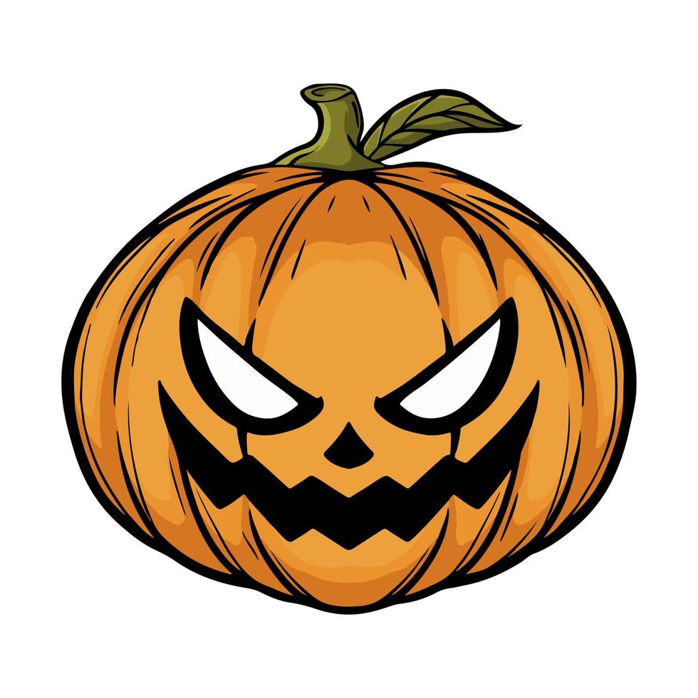 hand drawn pumpkin isolated white background vector