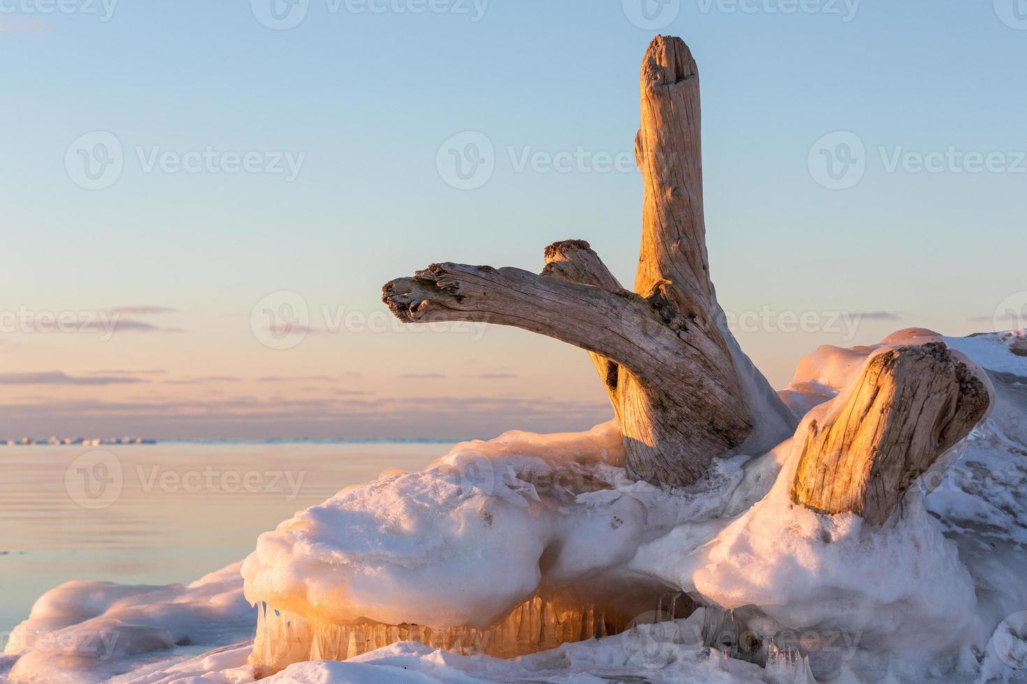 Baltic Sea Coast in Winter With Ice at Sunset photo