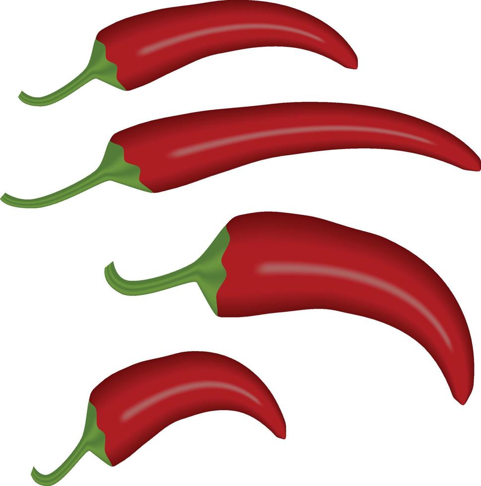 isolated chili pepper illustration Free Vector