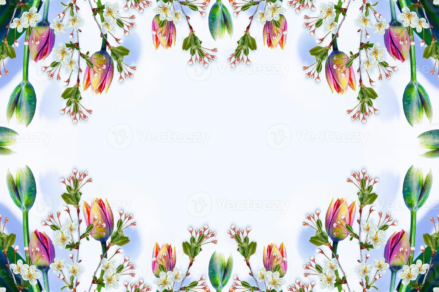 Blossoming branch apple, tulips.  Bright colorful spring flowers photo