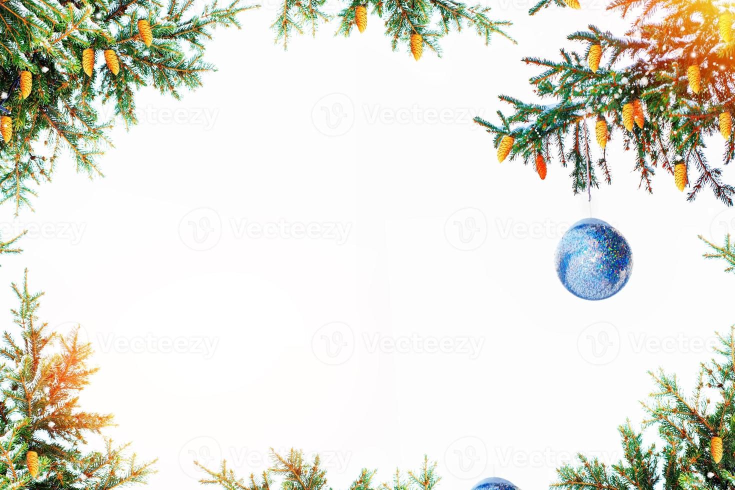 Merry Christmas and Happy New Year. snow covered trees. photo