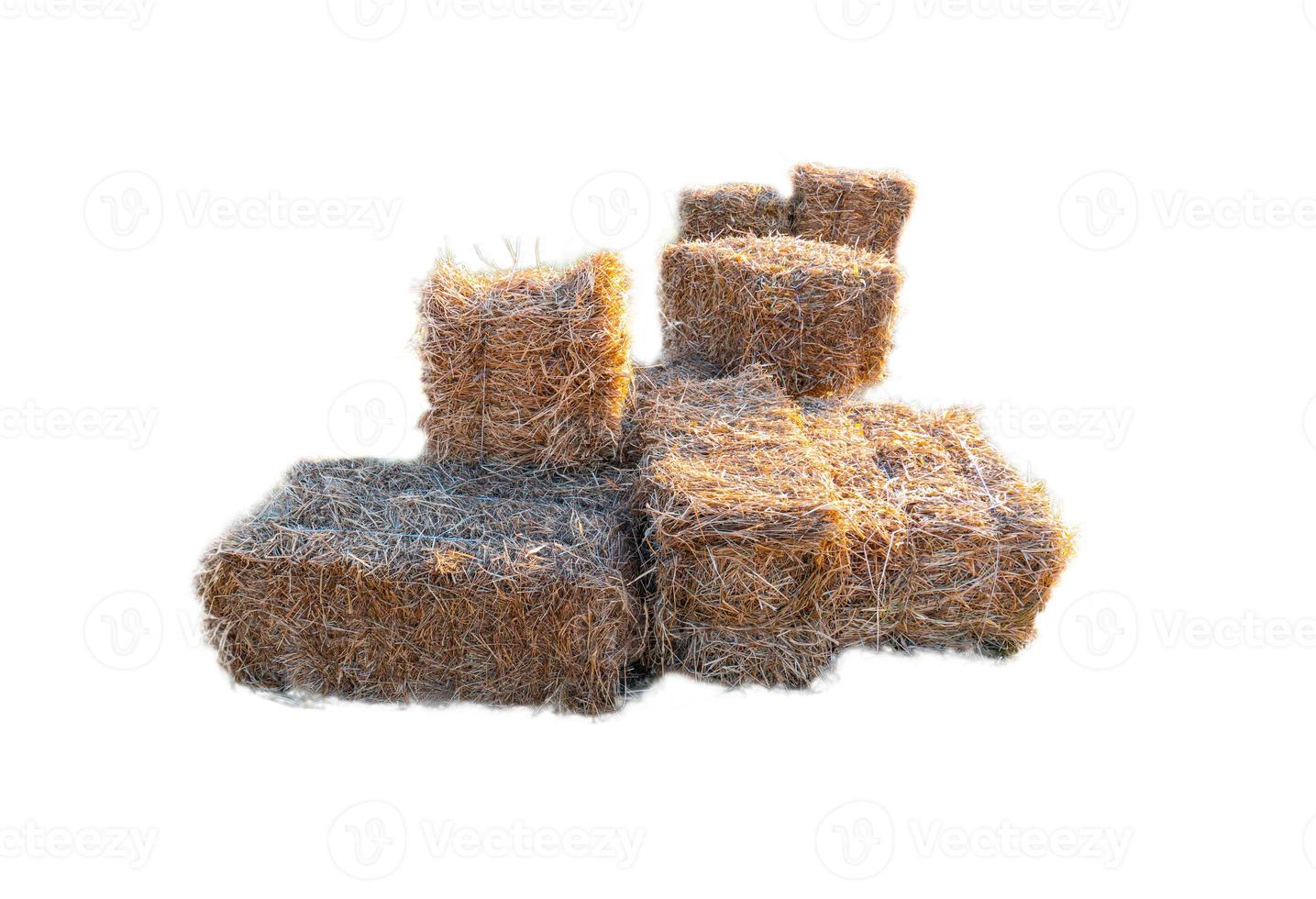 Golden yellow haystack isolated on a white background hay is a tightly joined bale of straw. photo