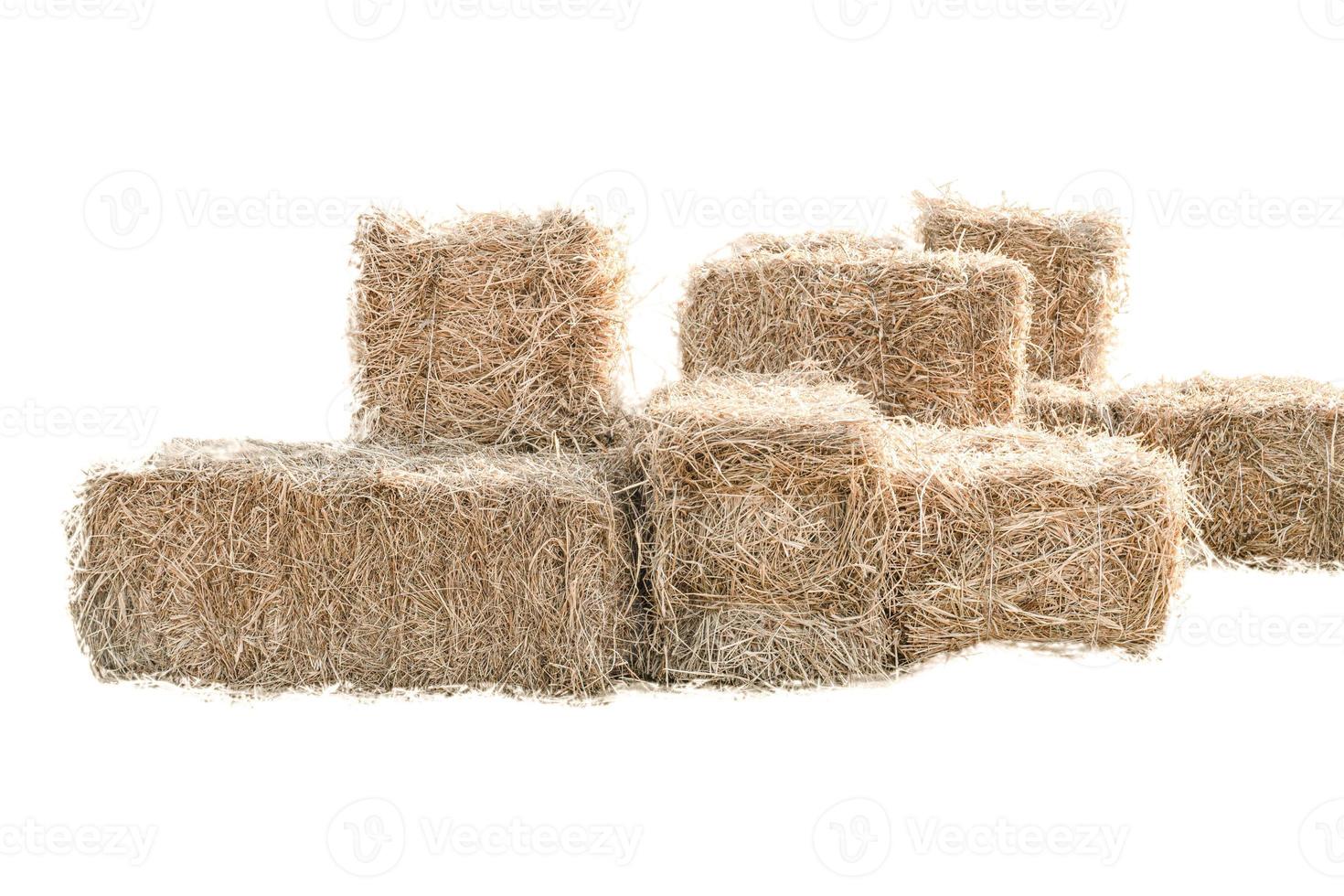 Golden yellow haystack isolated on a white background hay is a tightly joined bale of straw. photo