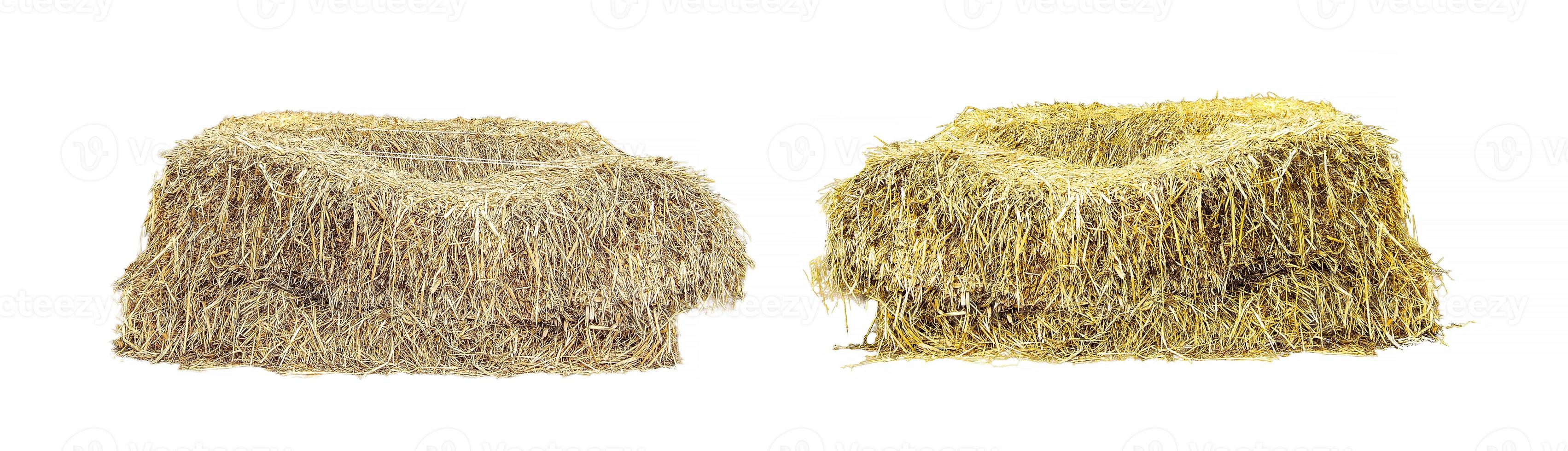 Golden yellow haystack isolated on a white background hay is a tightly joined bale of straw. photo