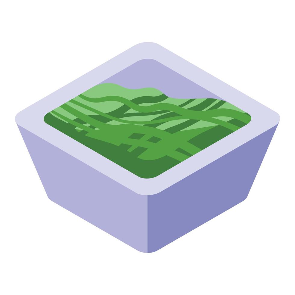 Spirulina salad icon isometric vector. Alga plant vector