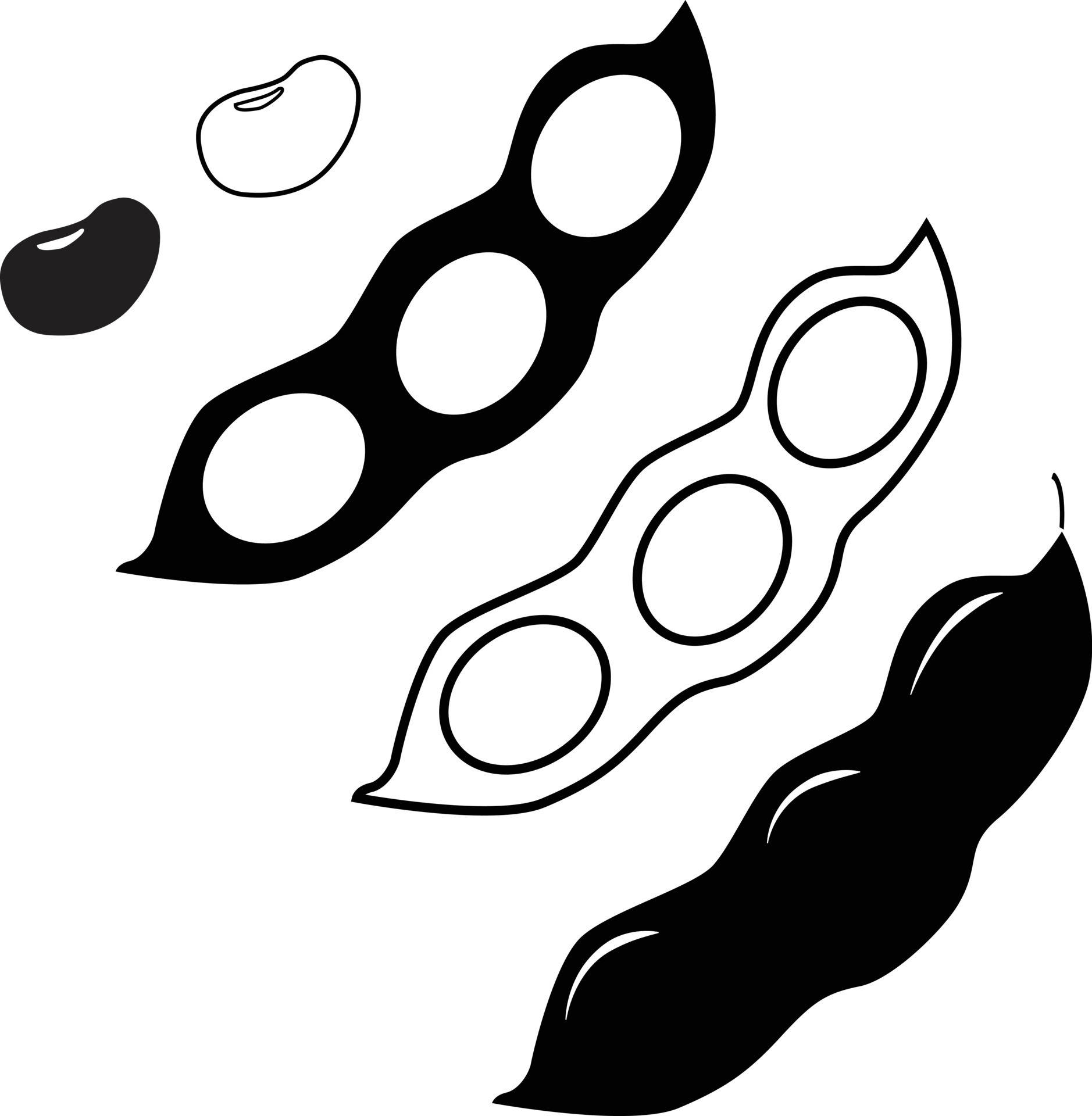 soybeans icon on white background. soy beans symbol. nature vegetable