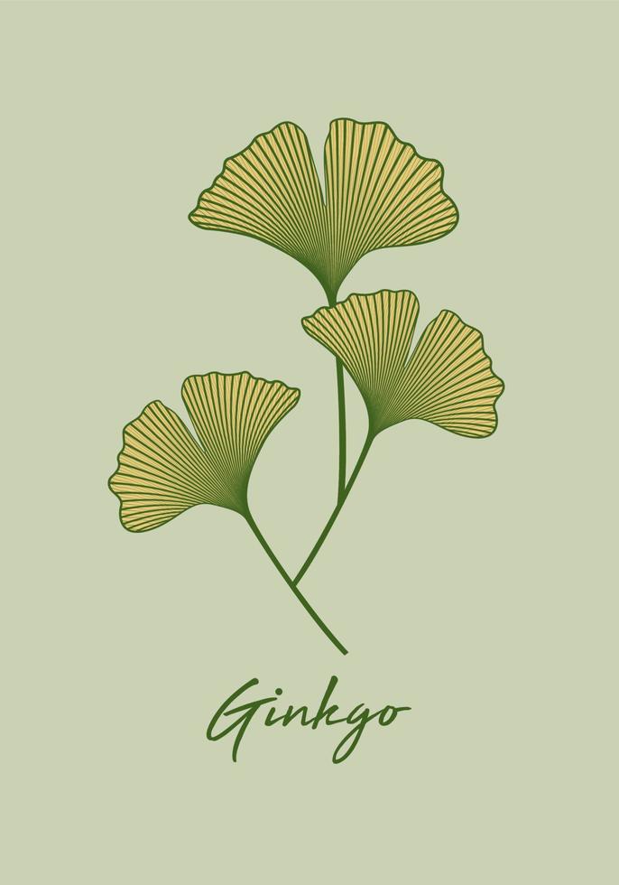Set Ginkgo biloba leaf isolated on green background. Hand drawn leaves. Logo design vector botanical illustration