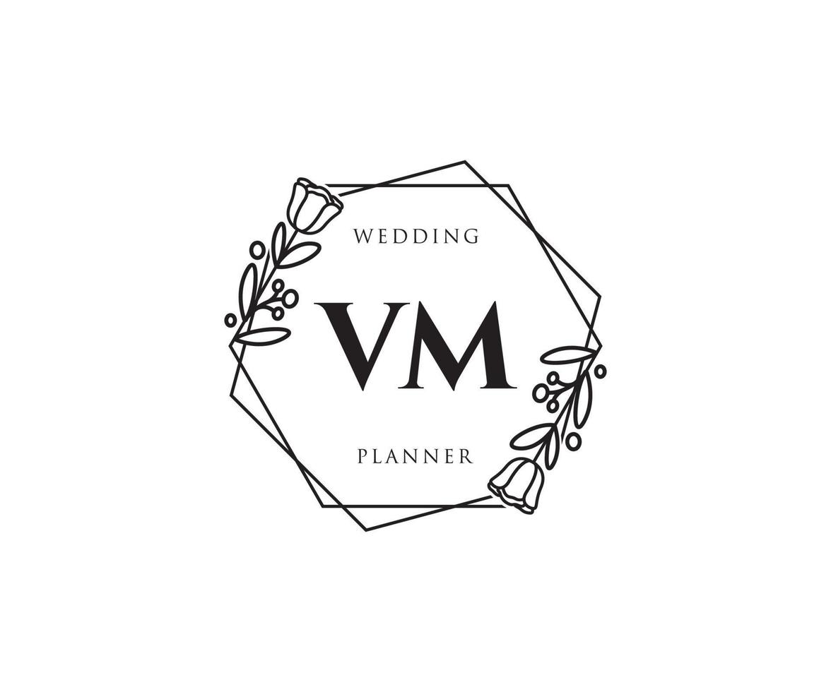 Initial VM feminine logo. Usable for Nature, Salon, Spa, Cosmetic and Beauty Logos. Flat Vector Logo Design Template Element.