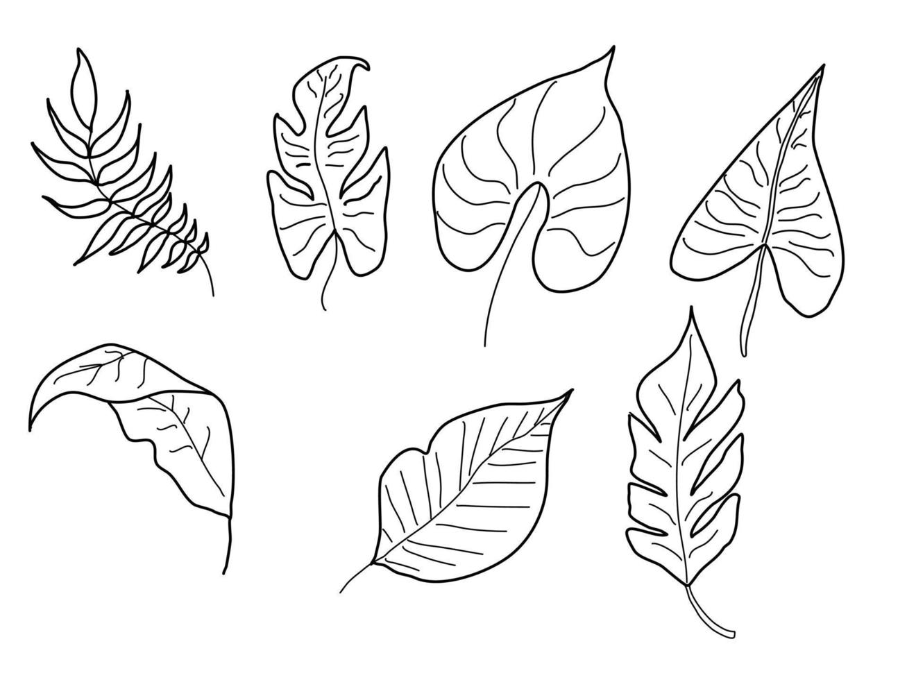 Handdrawn leaves illustration for promotion social media vector