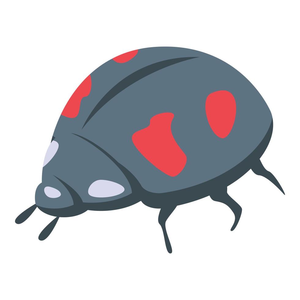 Ladybug icon isometric vector. Cute beetle vector