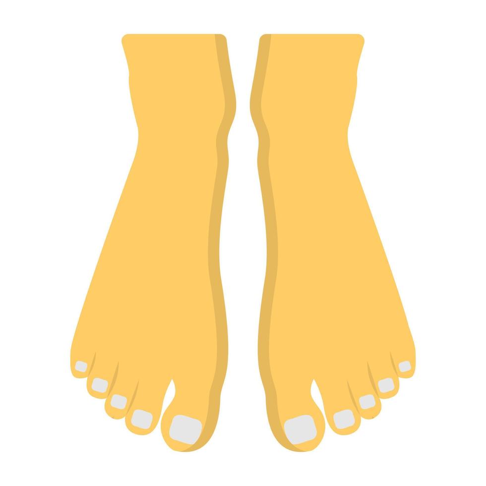 Trendy Pedicure Concepts vector