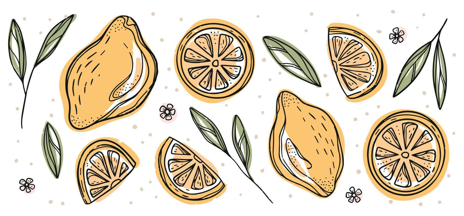 Abstract line set of lemon icons, isolated on white background. For web, print, product design. Doddle, contour. Vector hand-drawn flat illustration of Lemon slices, Fresh citrus and chopped lemon