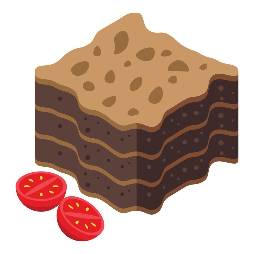 Chocolate lasagne icon isometric vector. Lasagna pasta vector