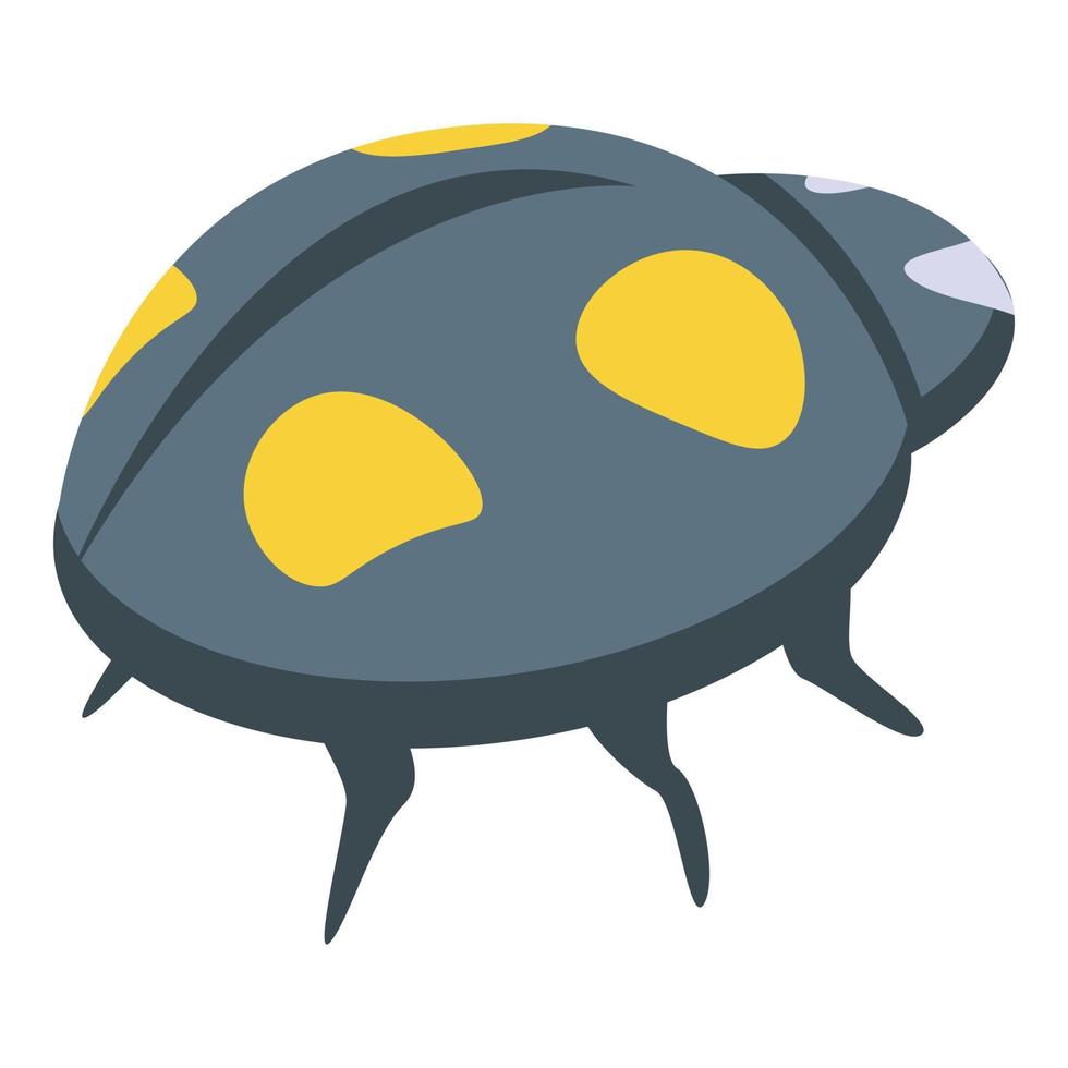 Summer ladybug icon isometric vector. Cute bug vector