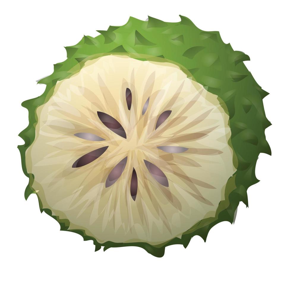 vector de dibujos animados de icono de guanábana de planta. durián fresco