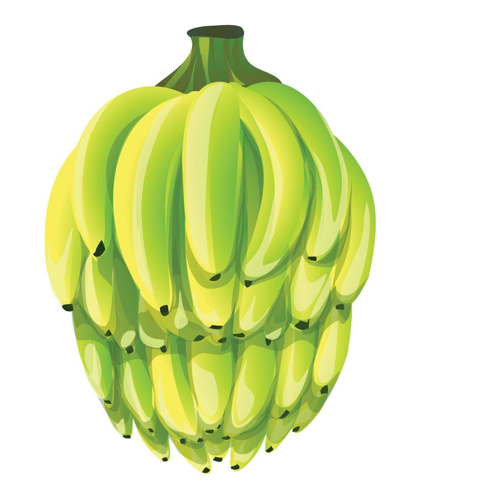 manojo de vector de dibujos animados de icono de plátanos. planta de fruta