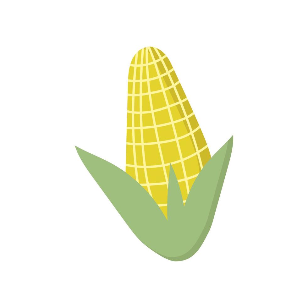 Plain corn on a white background. vector illustration