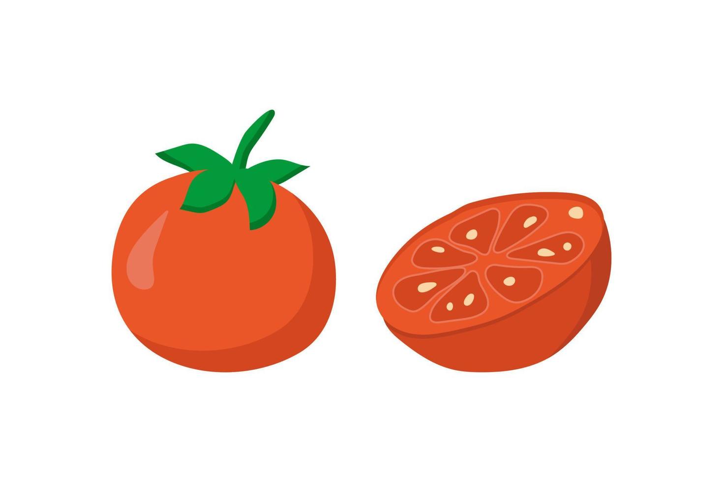 tomate cherry entero y medio en sección. ilustración vectorial vector