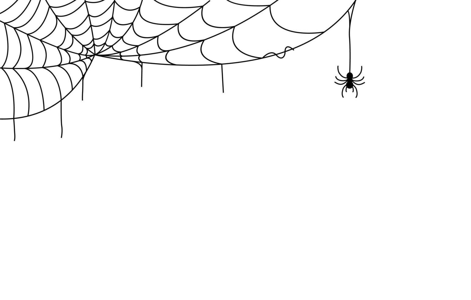 black spider web line art element for scary poster vector