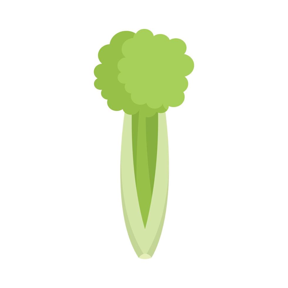 Celery vegetables icon flat isolated vector