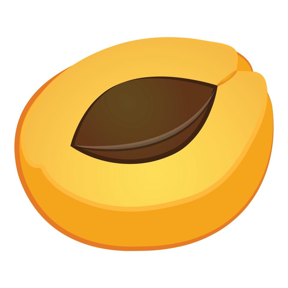 Half apricot icon cartoon vector. Fruit peach vector