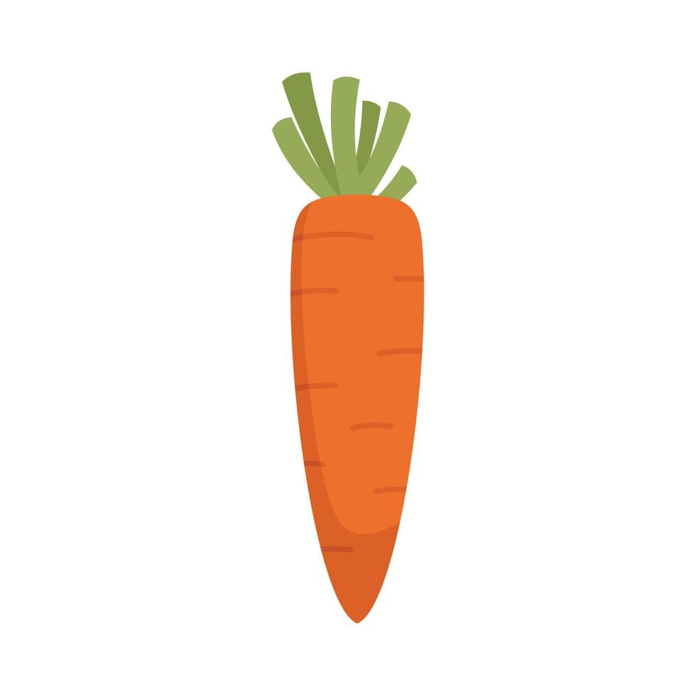 Organic carrot icon flat isolated vector