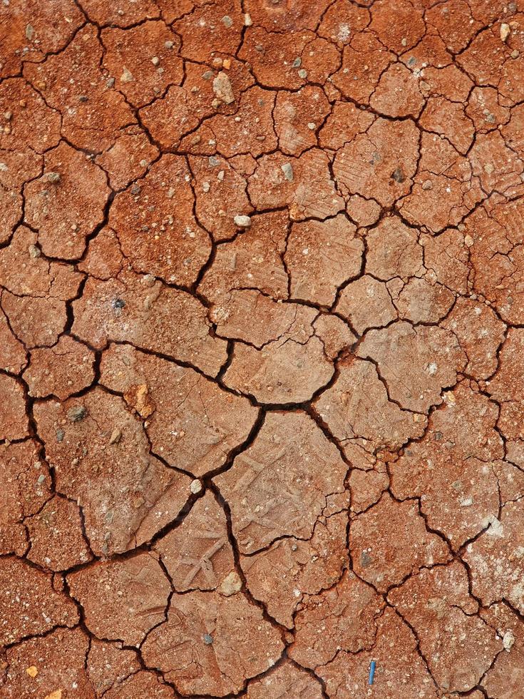 Cracked red clay from drought photo