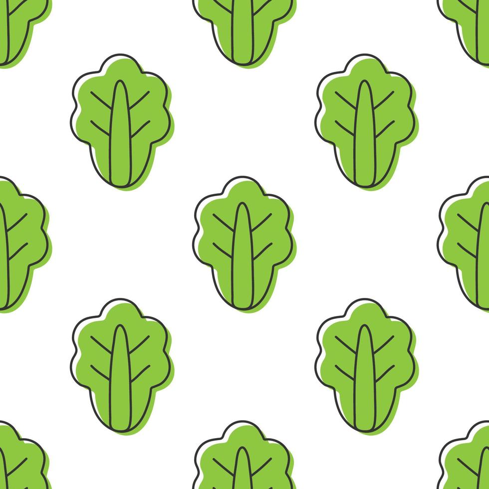 Seamless pattern lettuce vector illustration