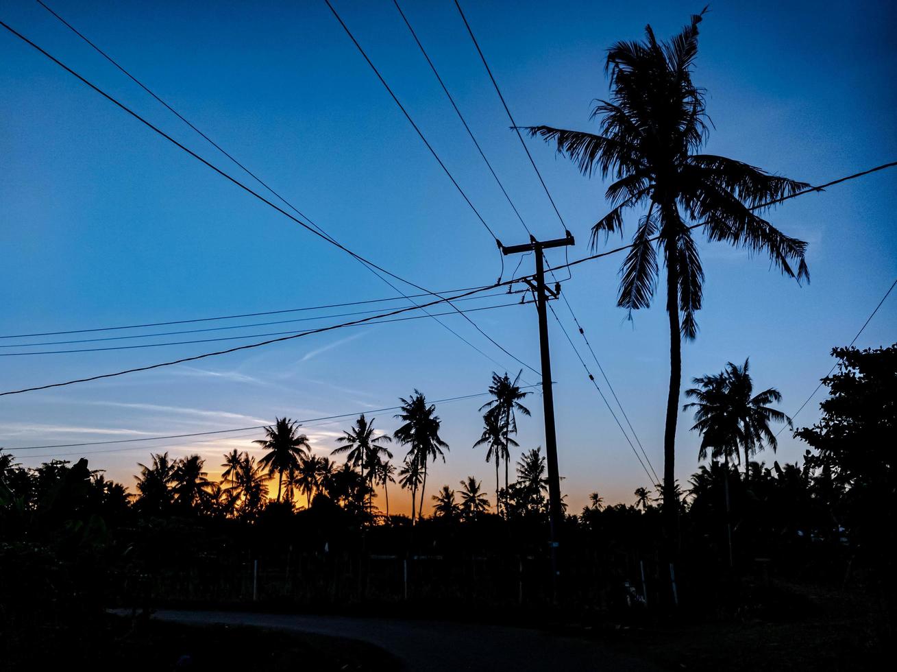 sunrise in the morning in a village in the middle of rice fields photo