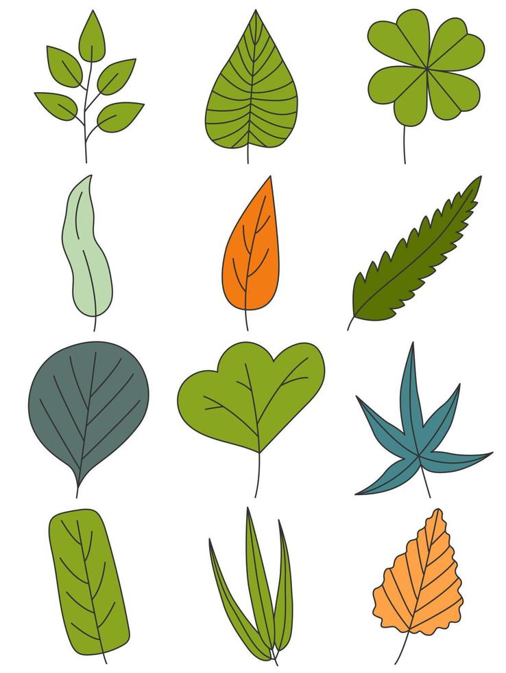 Leaves hand drawn icon vector set isolated on white background, Hand drawn decorative elements, Simple cartoon hand drawn style