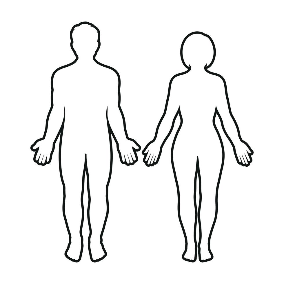 Contour silhouette of man and woman vector