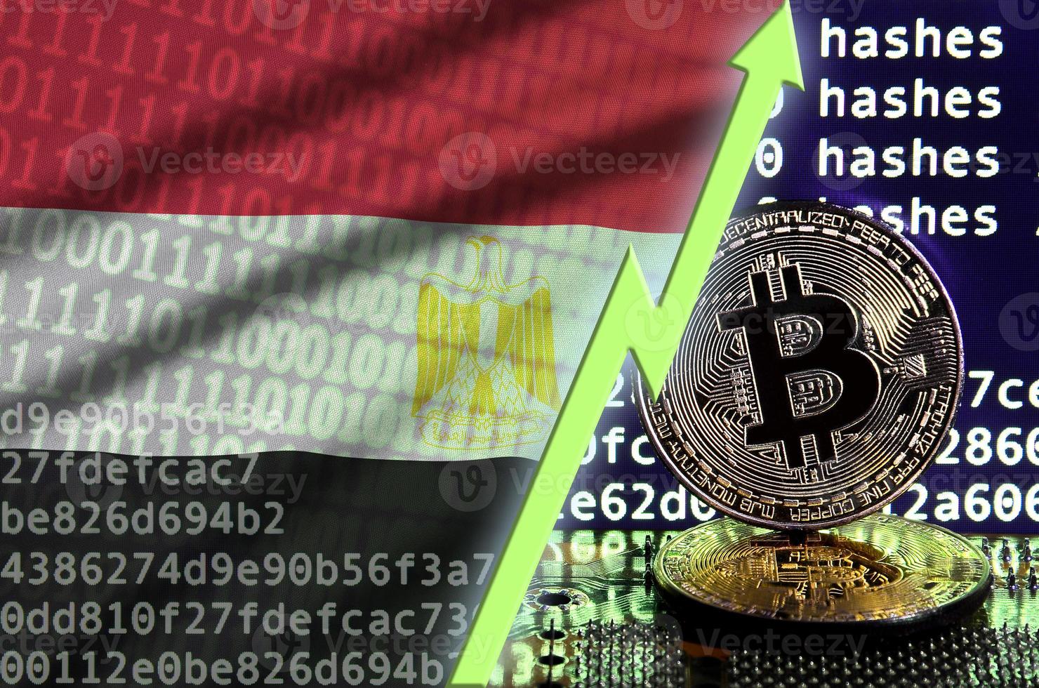 Egypt flag and rising green arrow on bitcoin mining screen and two physical golden bitcoins photo