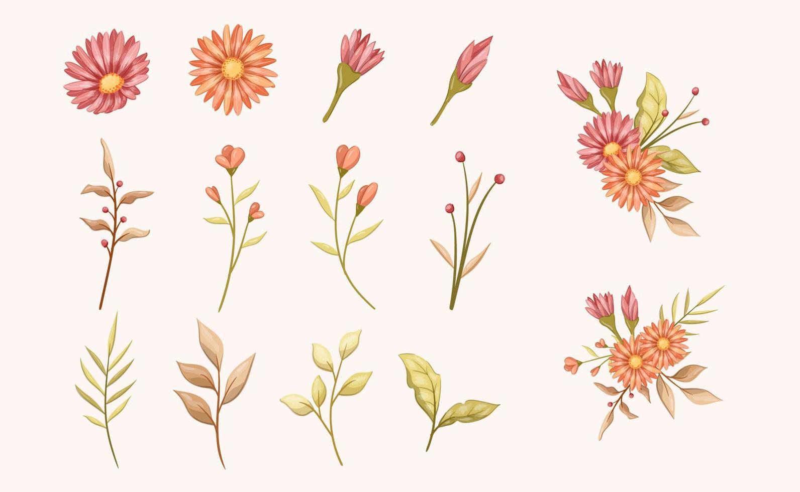 conjunto de flores y hojas de flor de aster femenino rosa. primavera de elementos botánicos de decoración tropical adecuada para bodas, amor, romance. ilustración vectorial vector