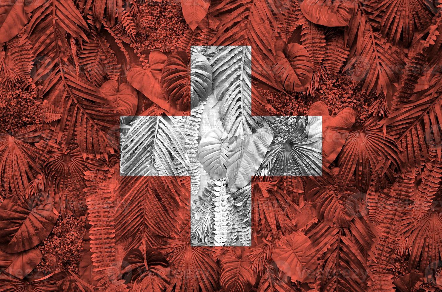 Switzerland flag depicted on many leafs of monstera palm trees. Trendy fashionable backdrop photo