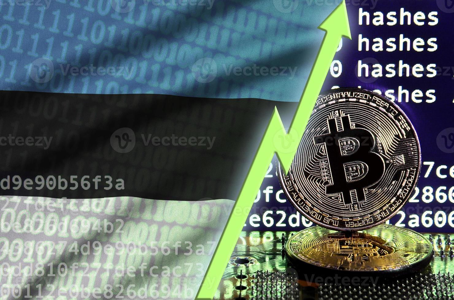 Estonia flag and rising green arrow on bitcoin mining screen and two physical golden bitcoins photo