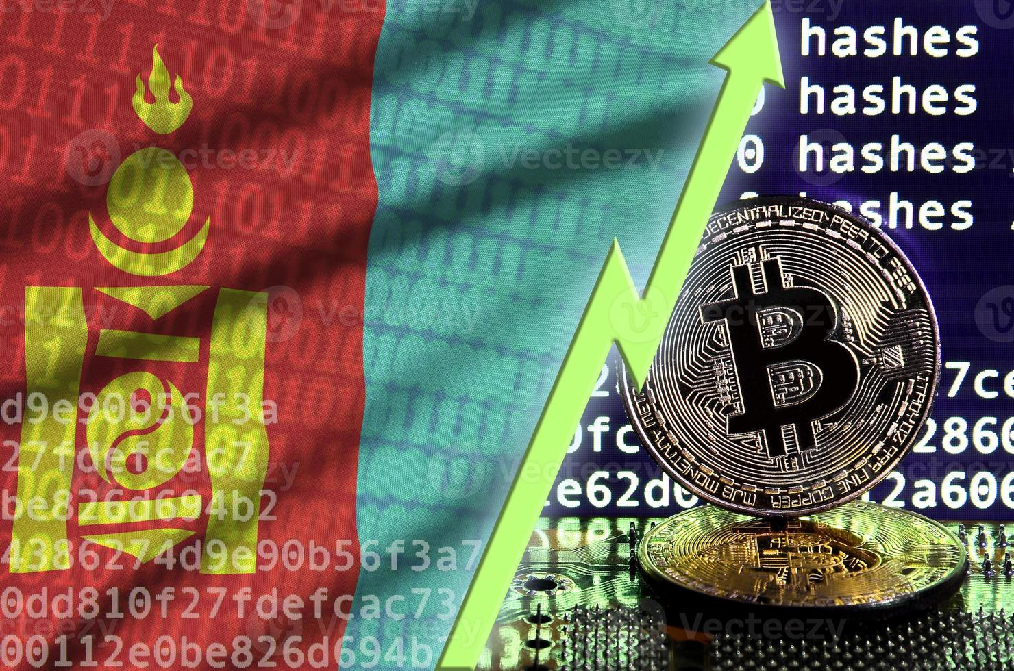 bandera de mongolia y flecha verde ascendente en la pantalla de minería bitcoin y dos bitcoins dorados físicos foto