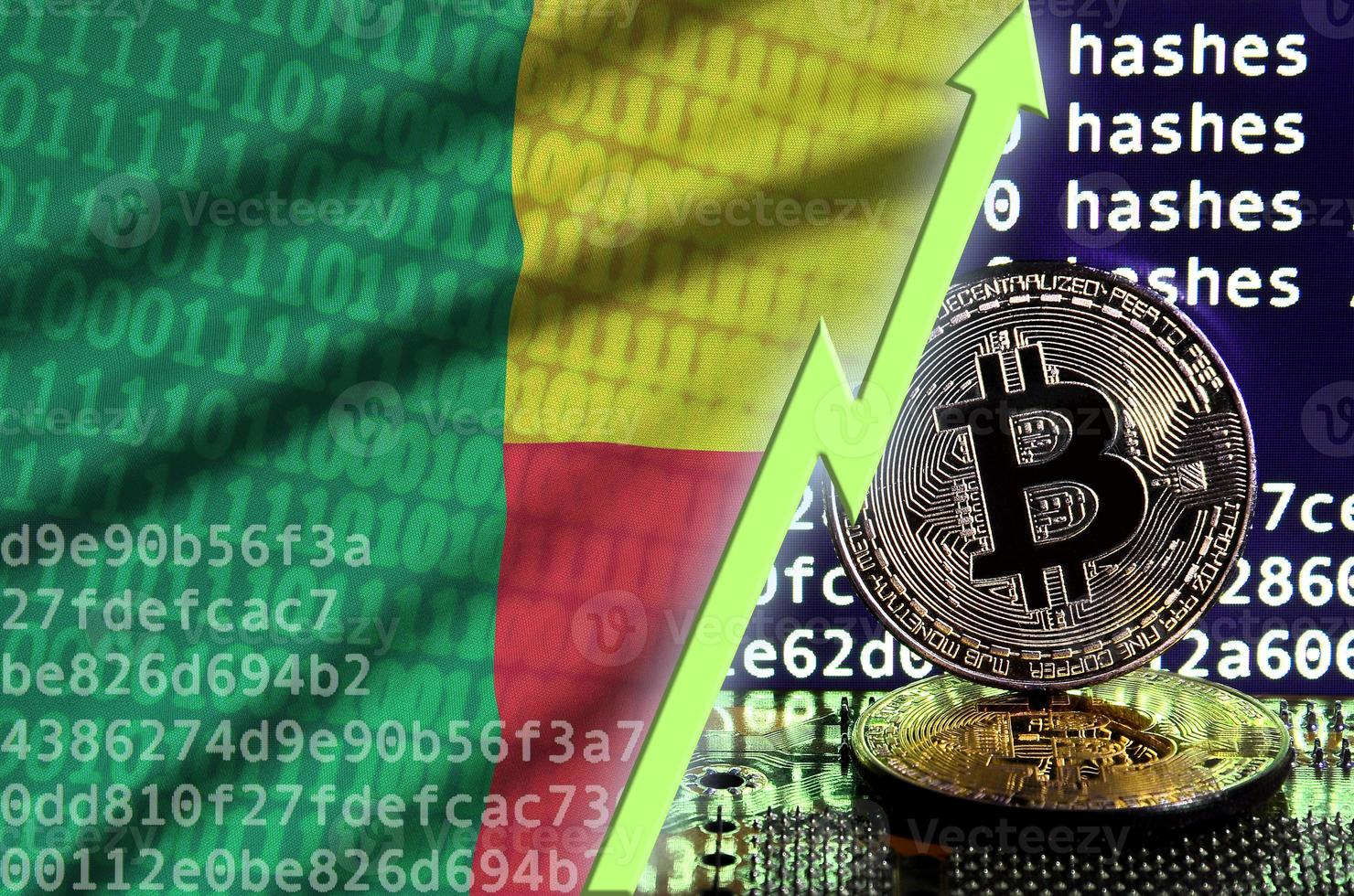 bandera de benin y flecha verde ascendente en la pantalla de minería bitcoin y dos bitcoins dorados físicos foto