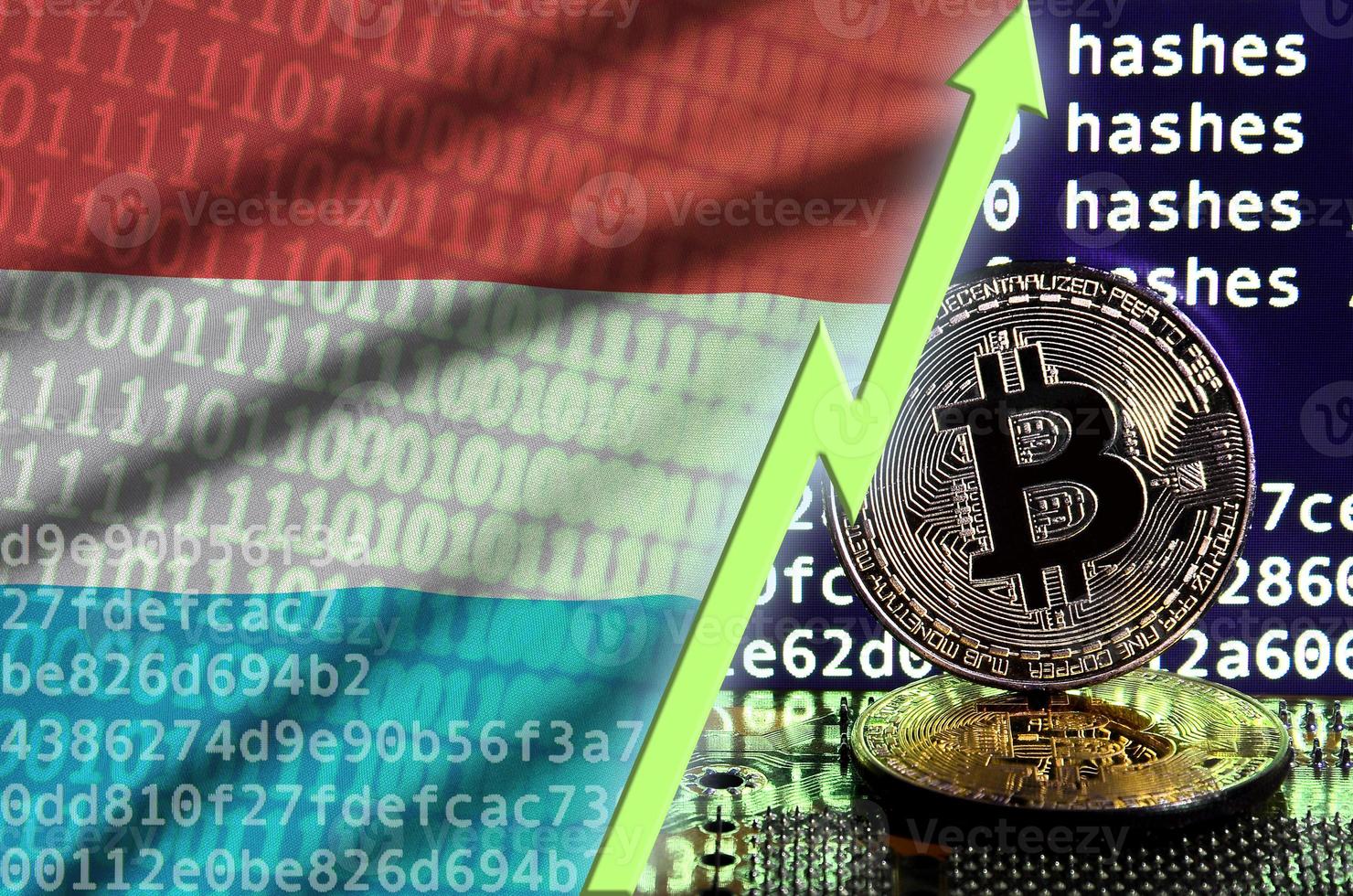 Luxembourg flag and rising green arrow on bitcoin mining screen and two physical golden bitcoins photo