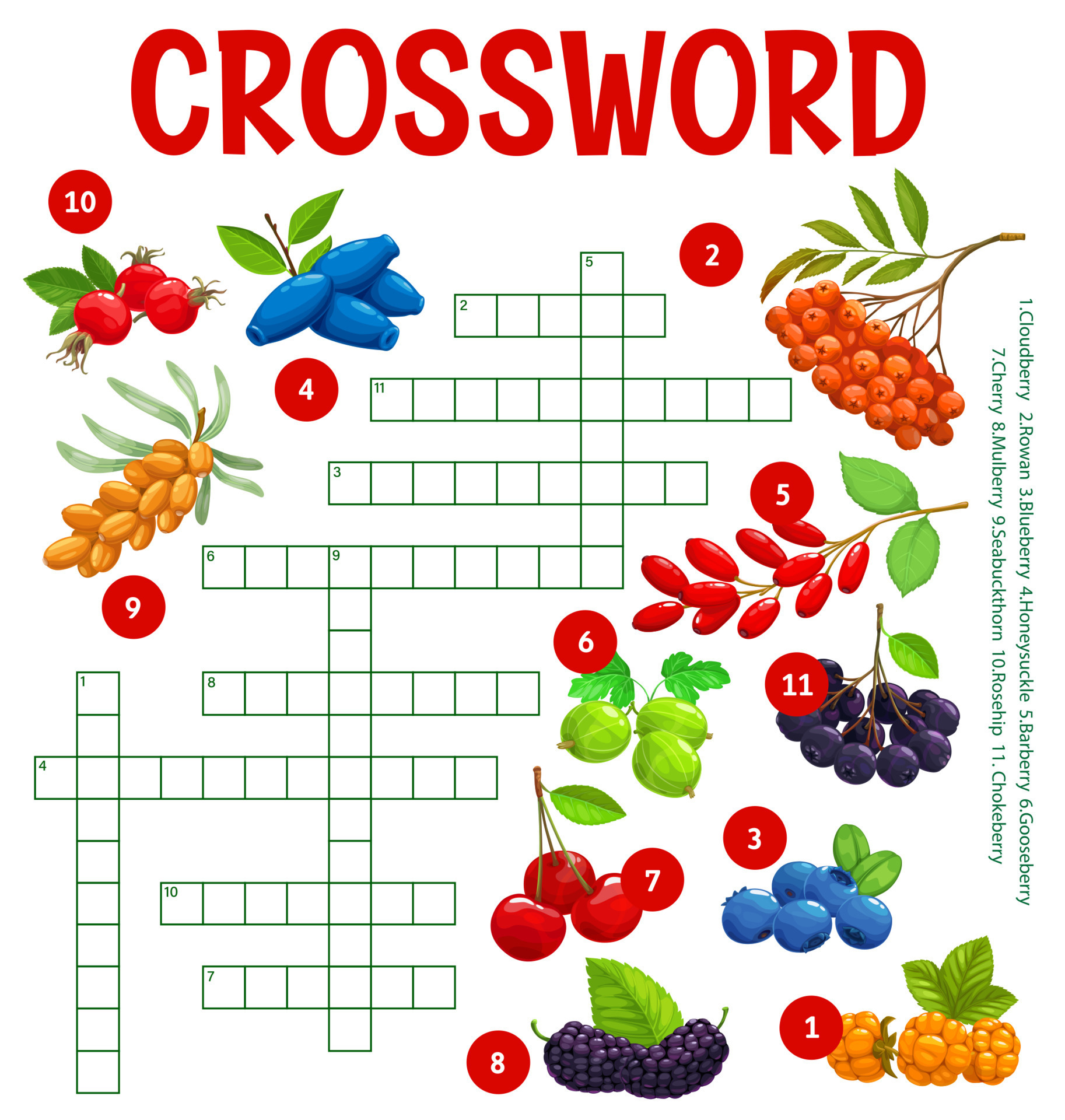 Cartoon berries crossword worksheet game puzzle 15024860 Vector Art Cartoon berries crossword worksheet game puzzle 15024860 Vector Art