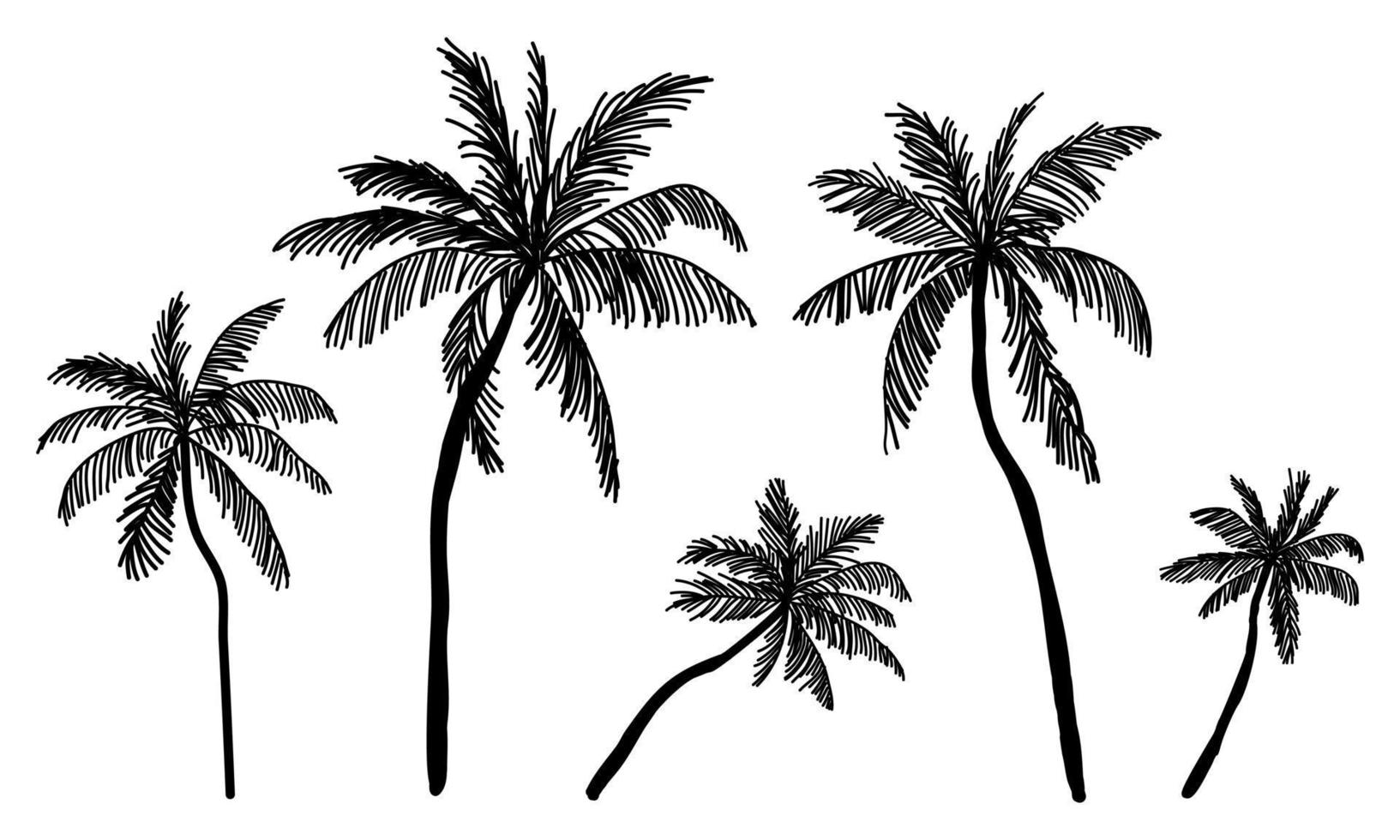 Collection of Black Coconut trees Icon. Can be used to illustrate any nature or healthy lifestyle topic. vector