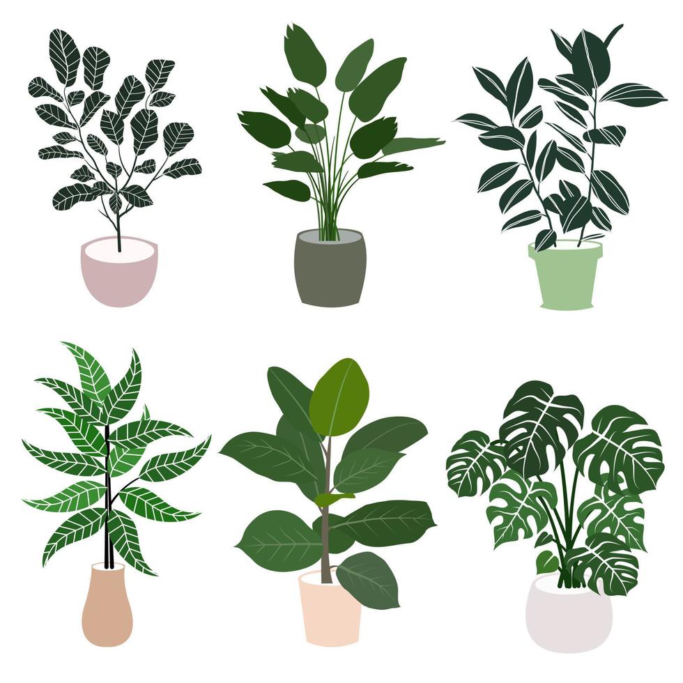 conjunto de macetas de plantas de palmeras tropicales de casas detalladas y realistas vectoriales para el diseño y la decoración interior. vector