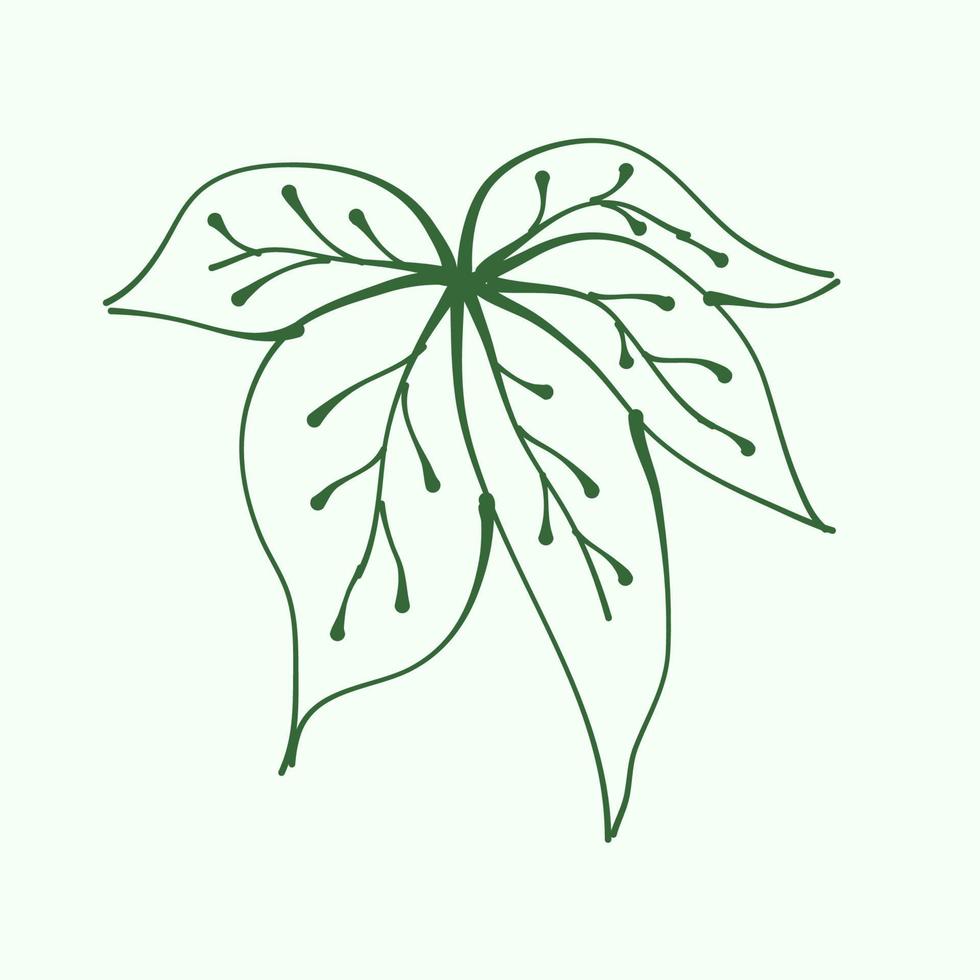 leaf outline for decoration. Vector Leaf Silhouette. Hand drawn branches with leaves and branch. plant.